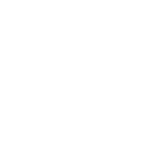 Partner 03